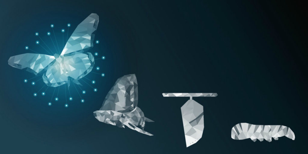 Ilustración ciclo de la mariposa.